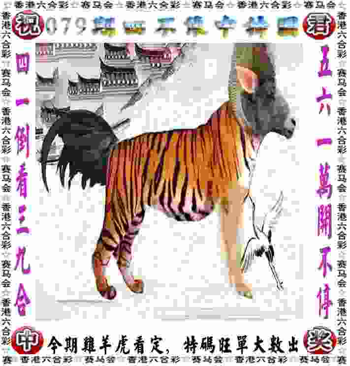 扬科维奇出任中国国家男子足球队主教练